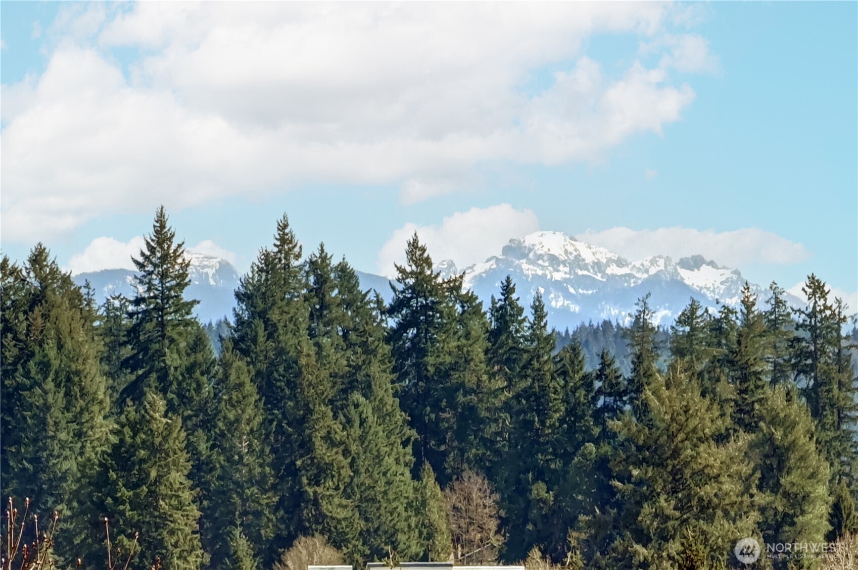 MLS #NWM2500457 image #28