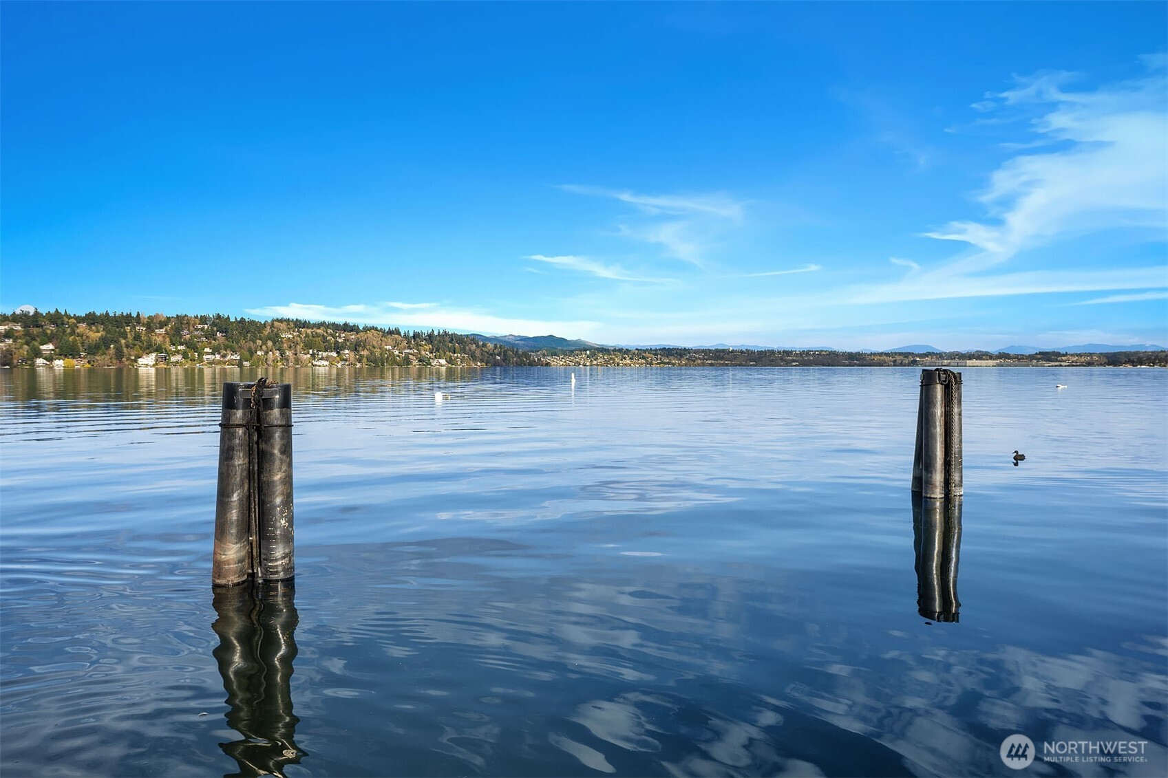 MLS #NWM2500508 image #32