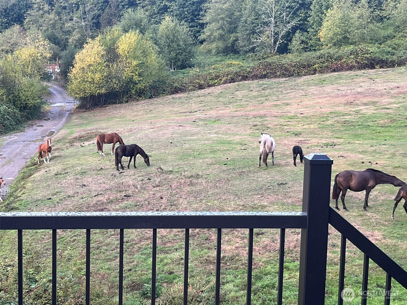 MLS #NWM2500556 image #33