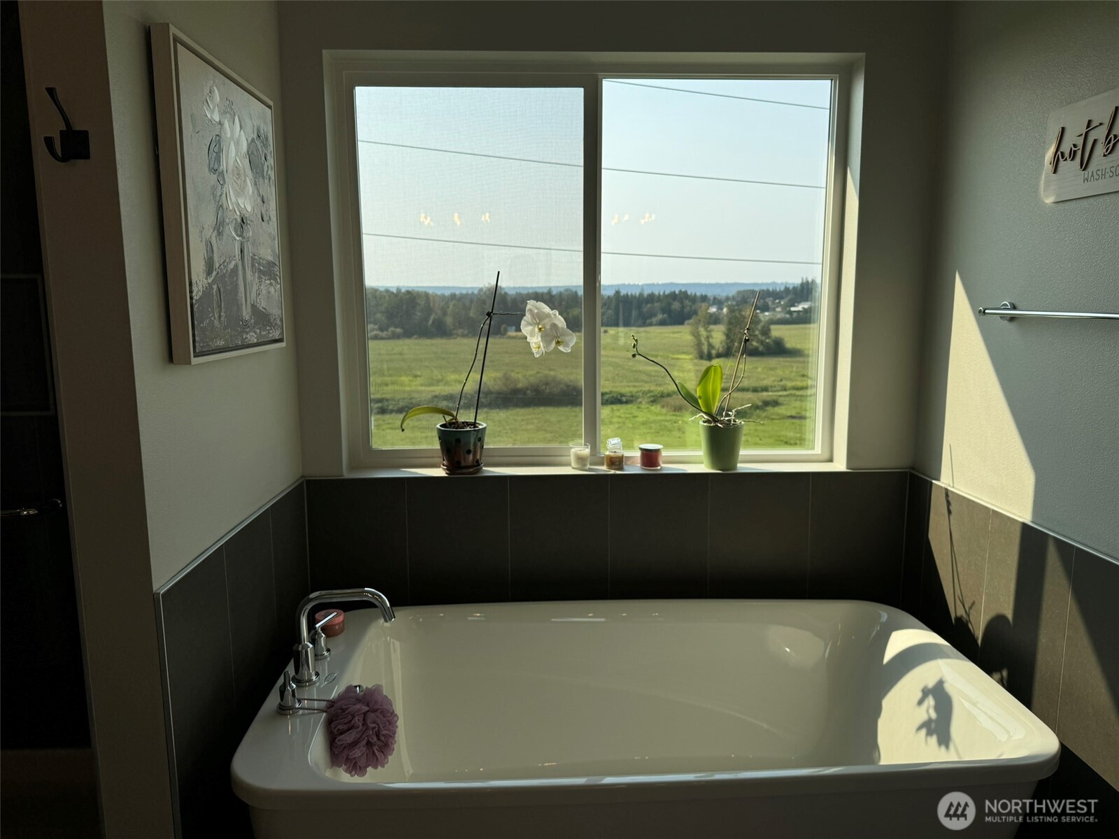 MLS #NWM2500556 image #24