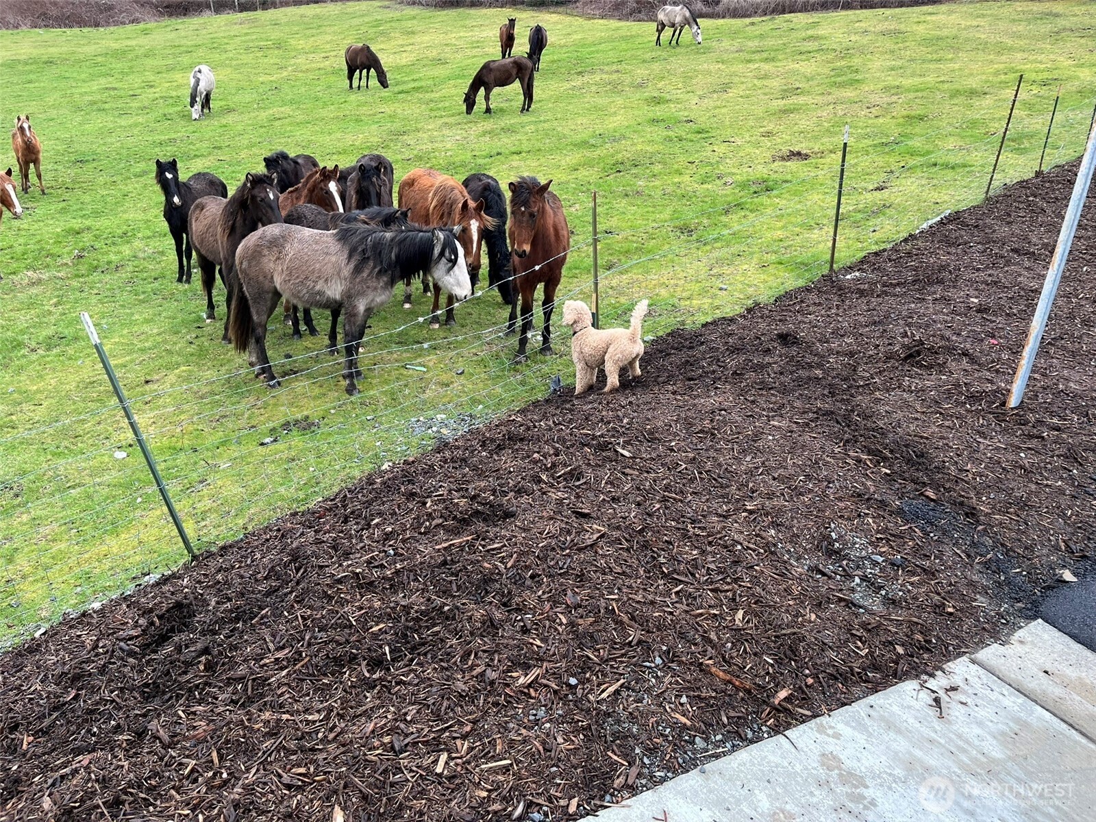 MLS #NWM2500556 image #34