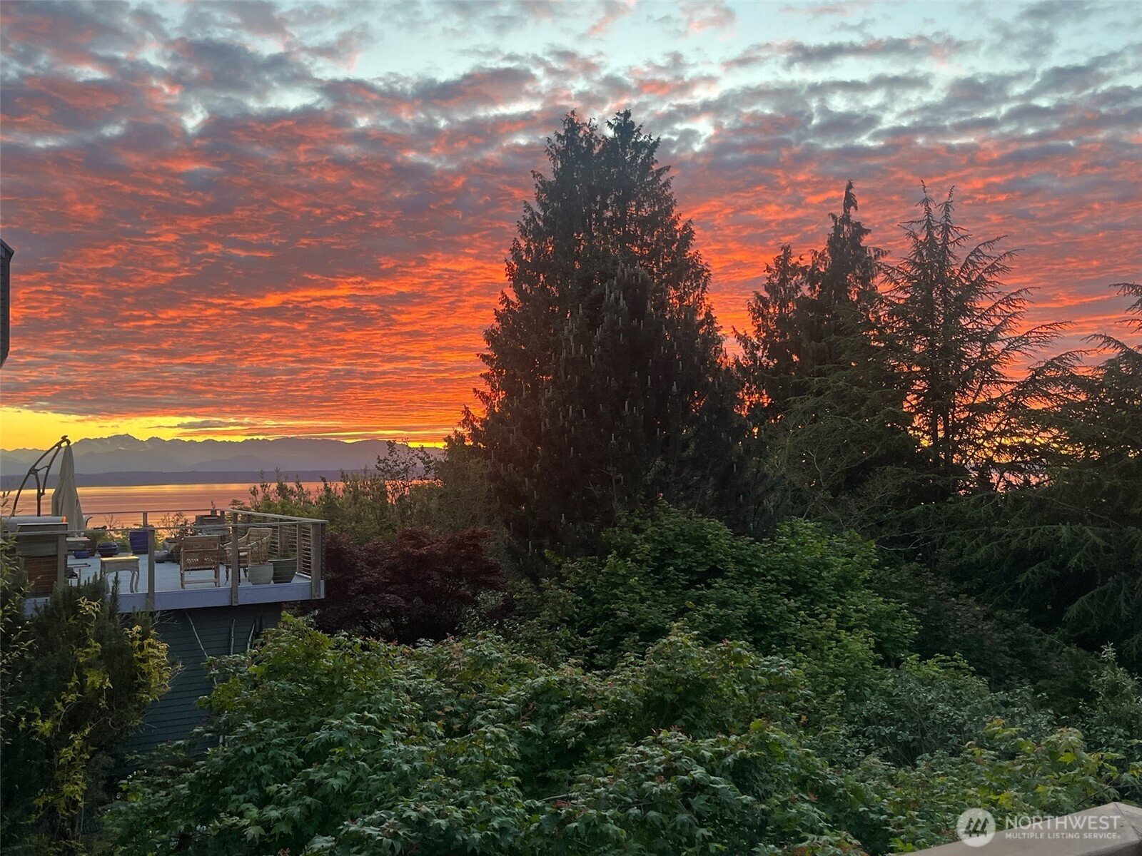 MLS #NWM2500618 image #29