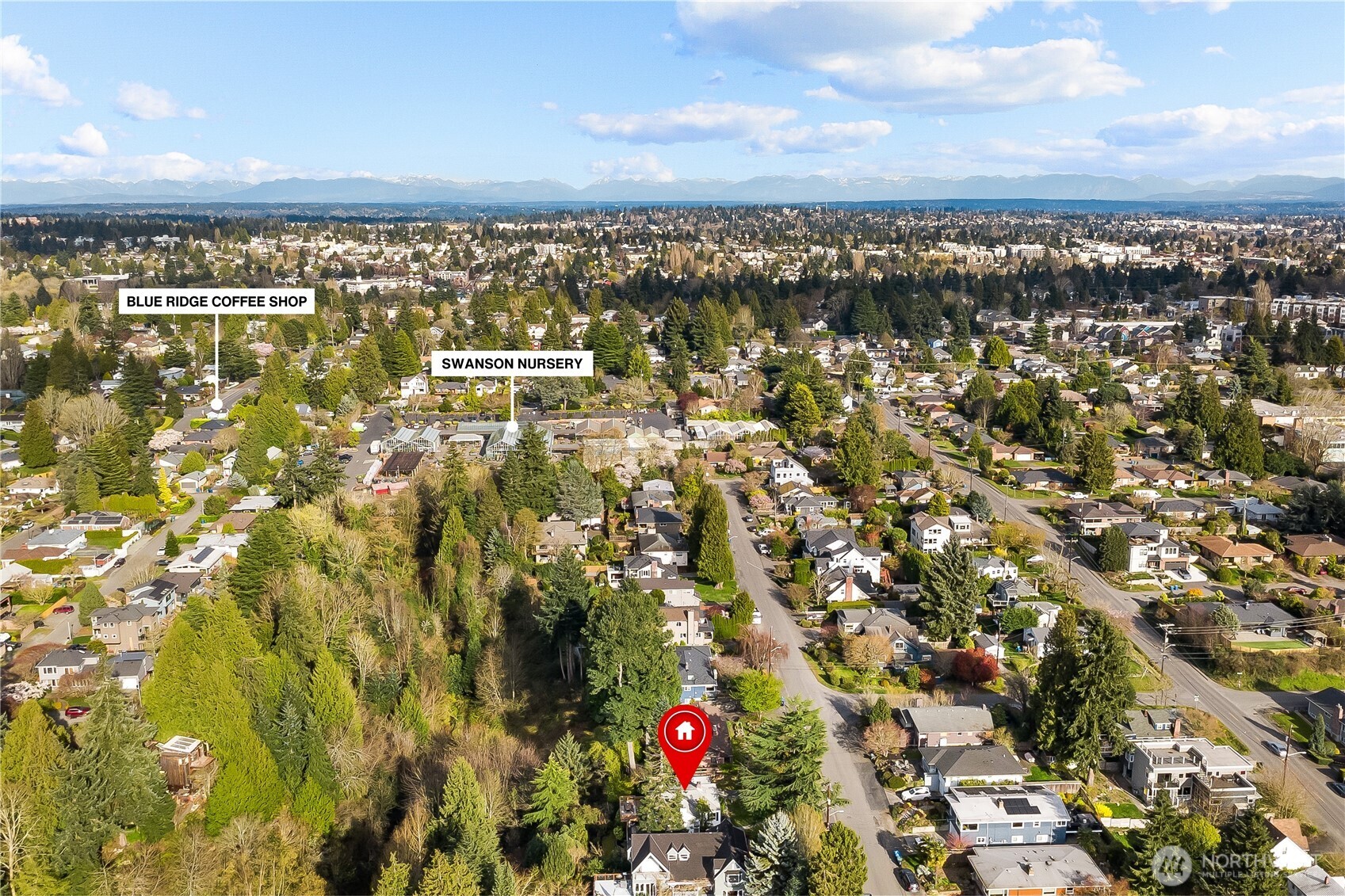 MLS #NWM2500618 image #35