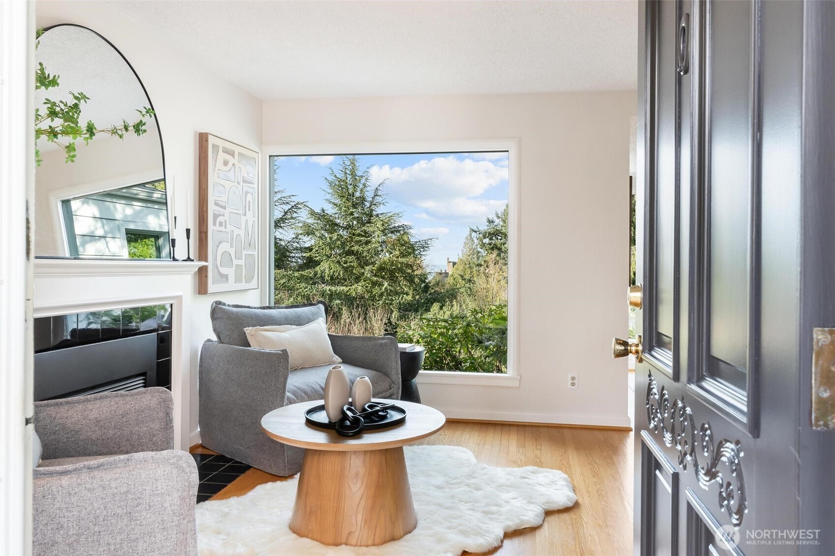 MLS #NWM2500618 image #1