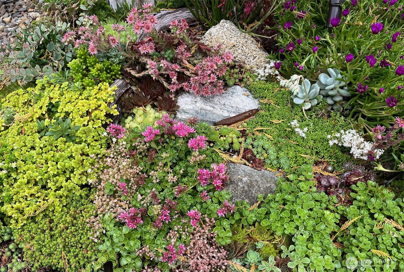 MLS #NWM2500618 image #39