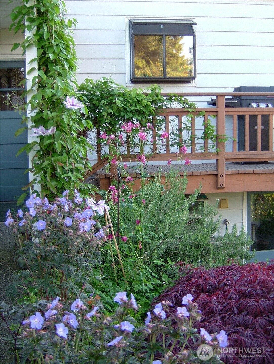 MLS #NWM2500618 image #27