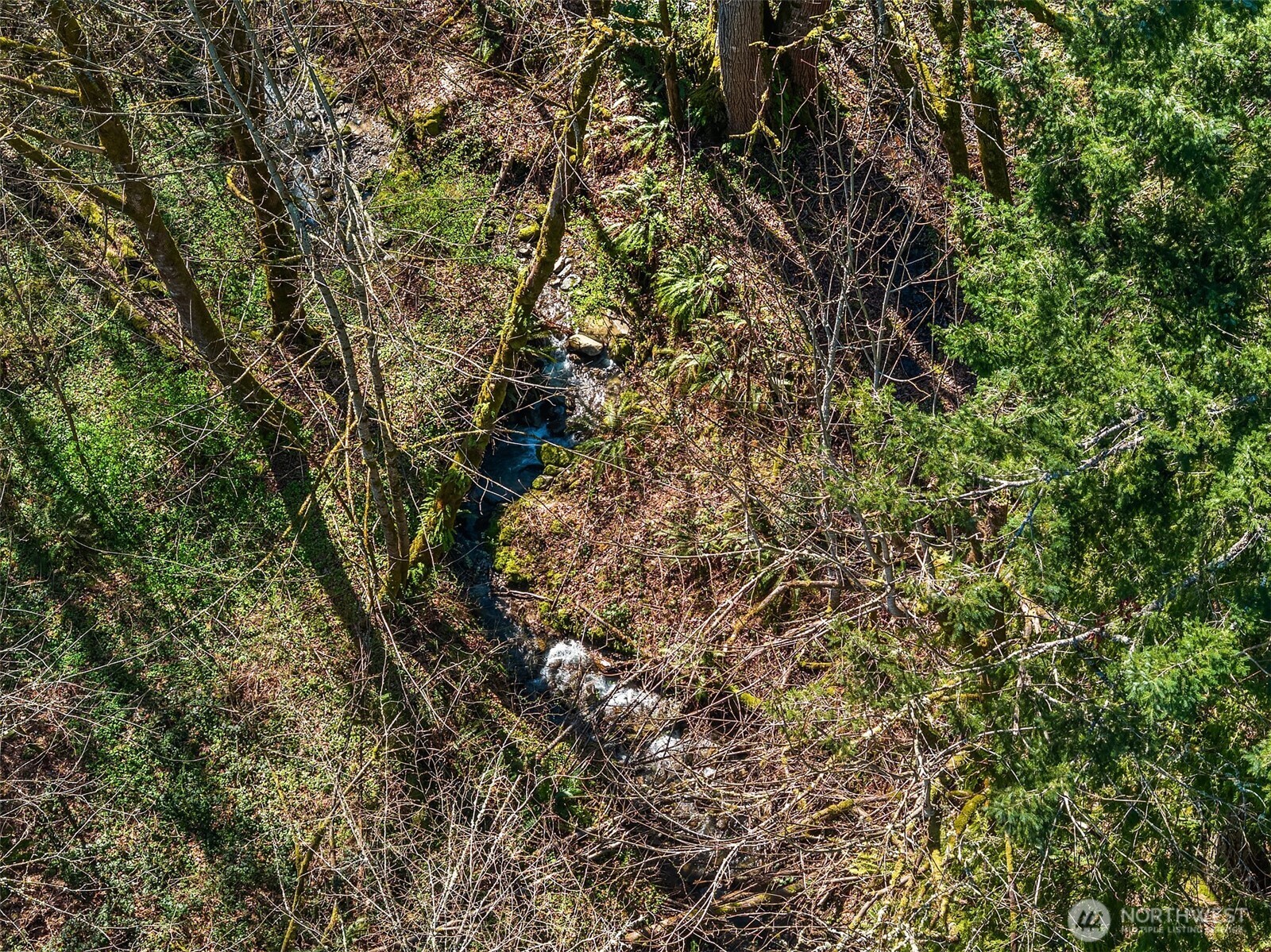 MLS #NWM2500650 image #22