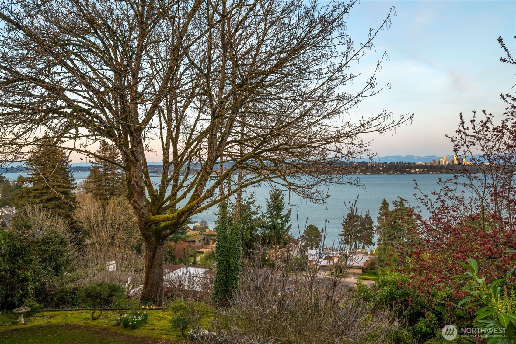 MLS #NWM2500660 image #22