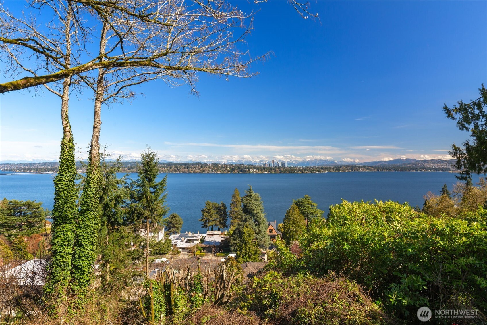 MLS #NWM2500660 image #16