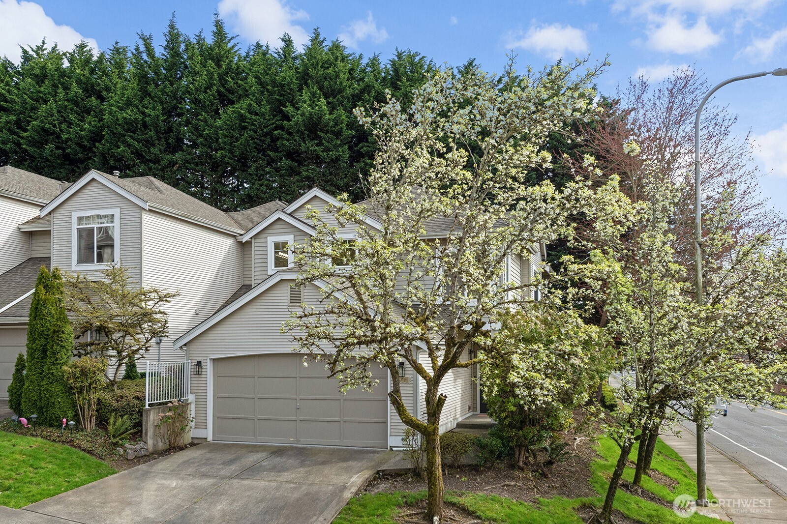 MLS #NWM2500679 image #18