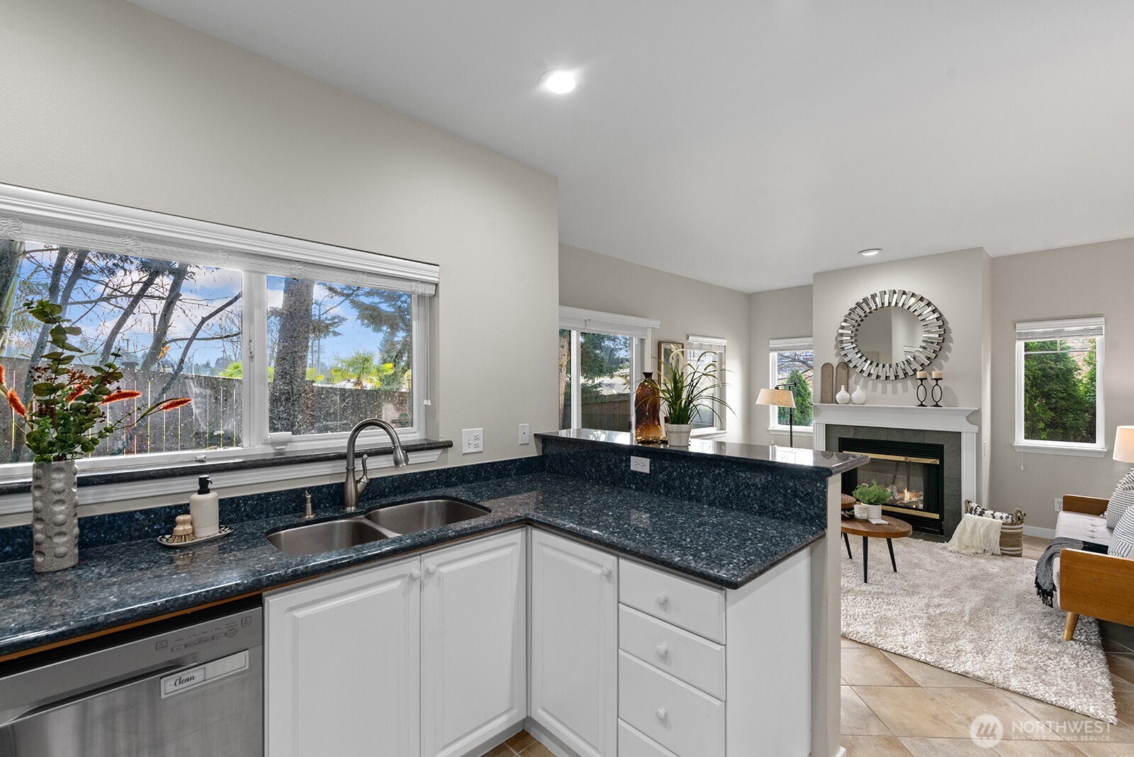 MLS #NWM2500679 image #12