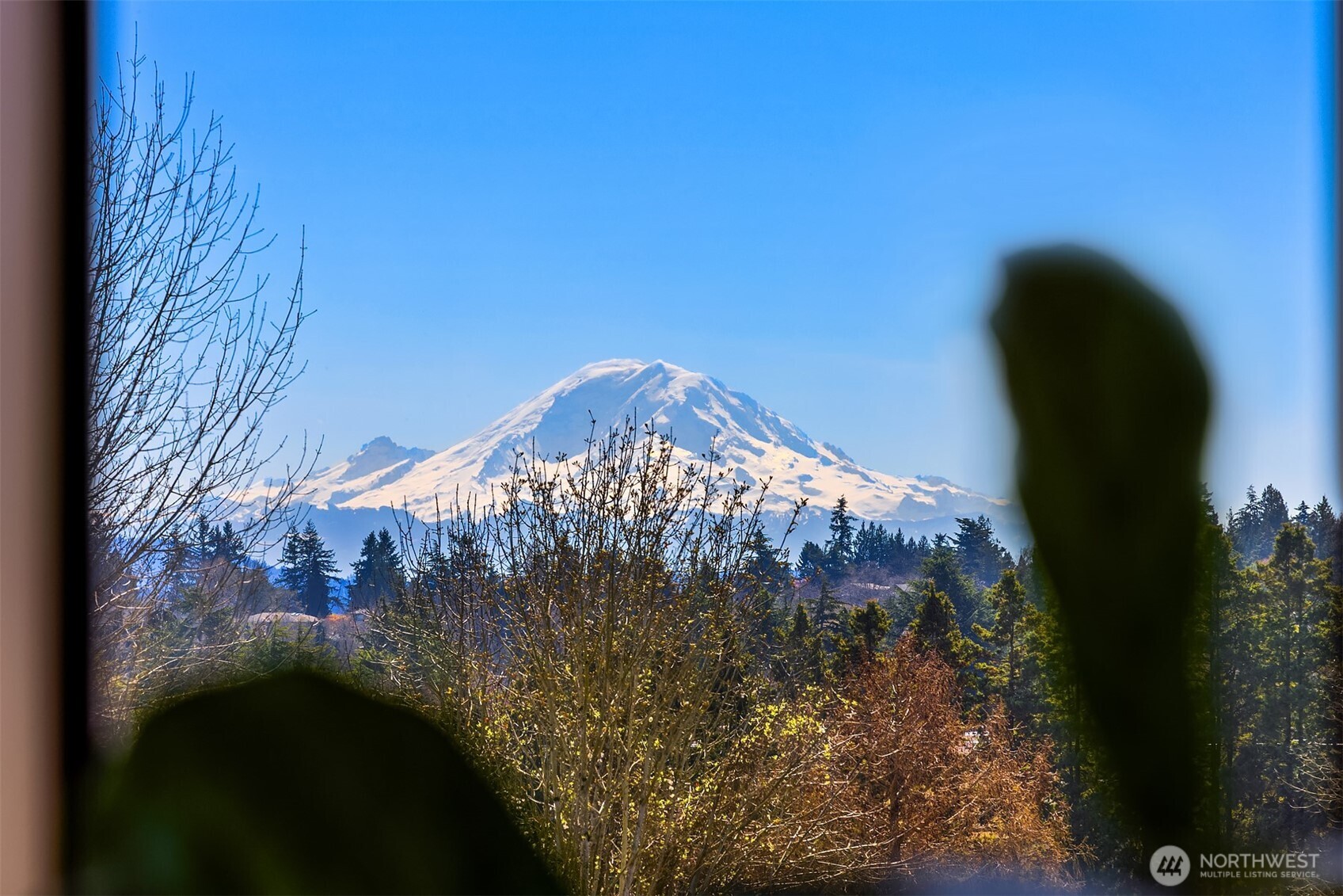 MLS #NWM2500694 image #21