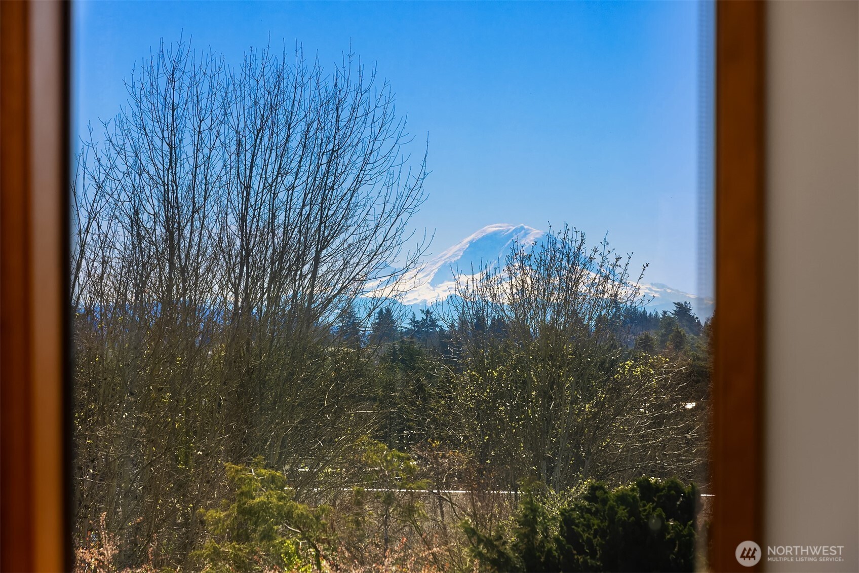 MLS #NWM2500694 image #8