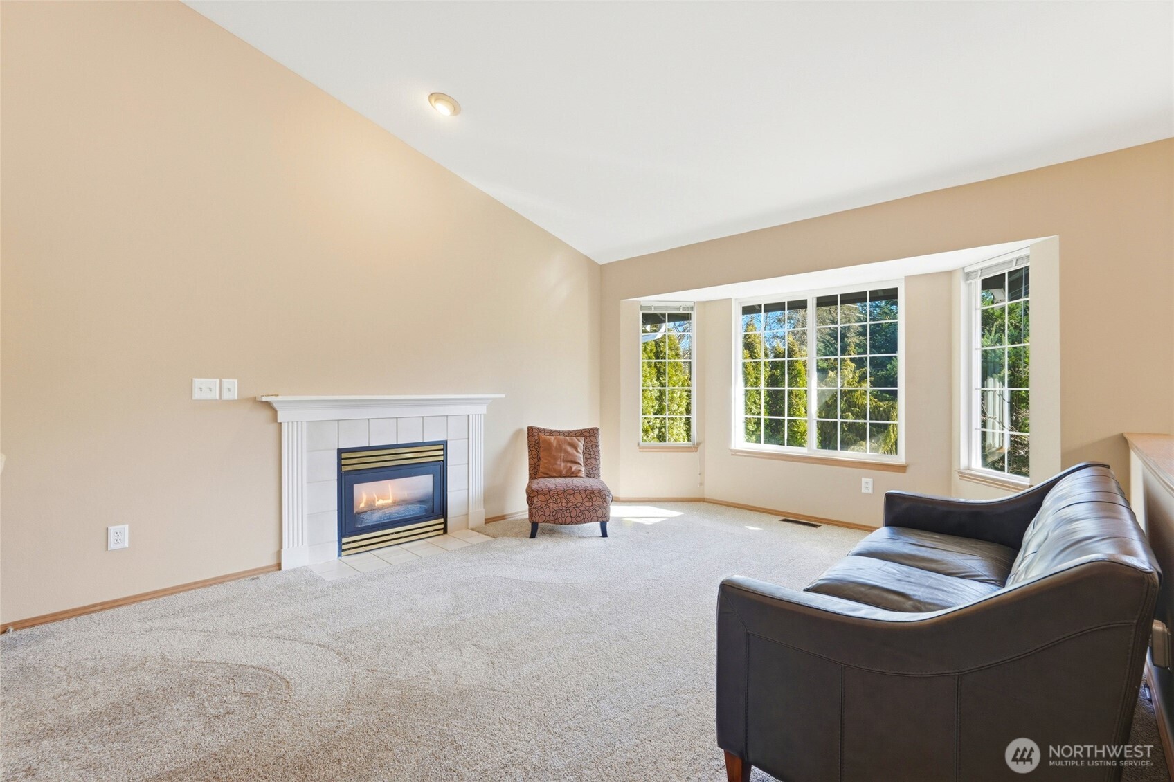 MLS #NWM2500738 image #4