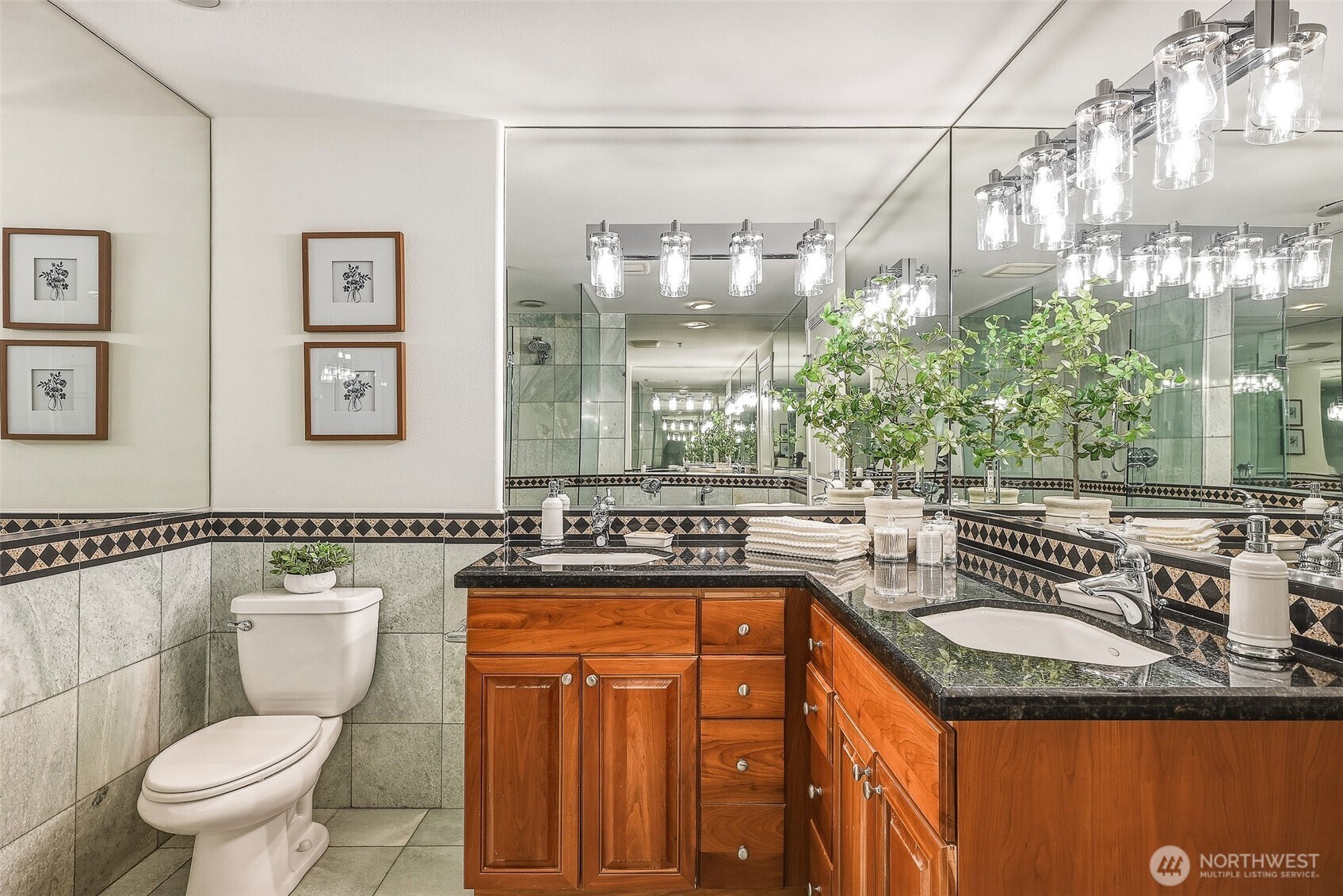 MLS #NWM2500774 image #12