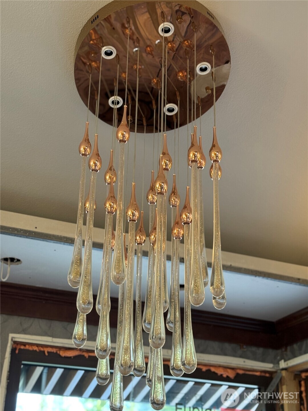 MLS #NWM2500802 image #6