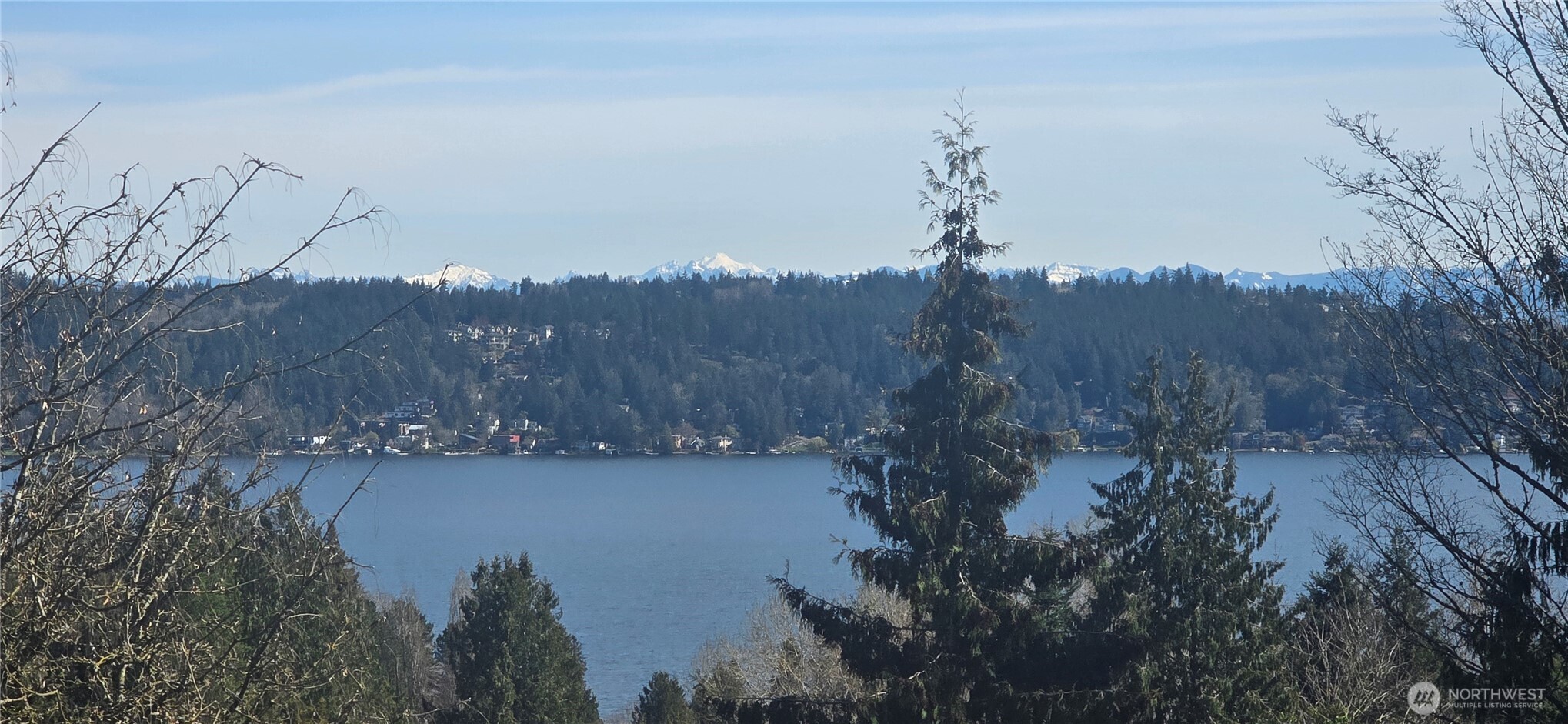 MLS #NWM2500930 image #7