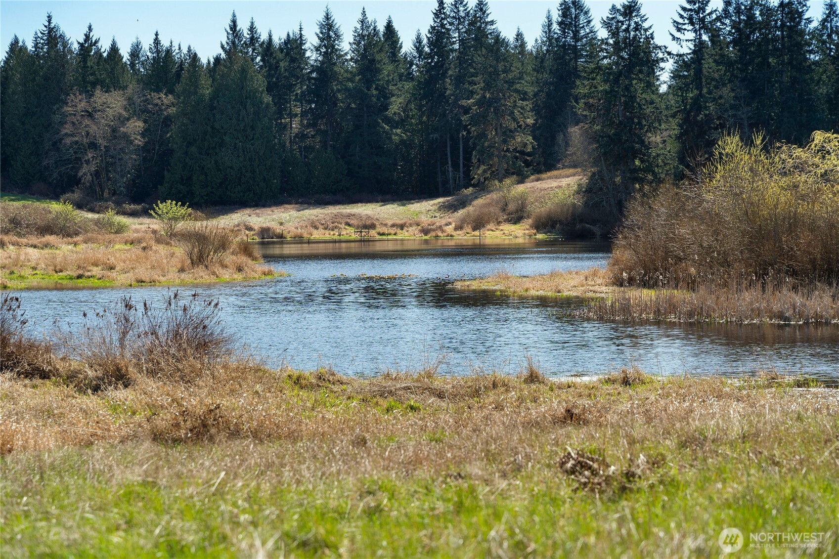 MLS #NWM2500961 image #18