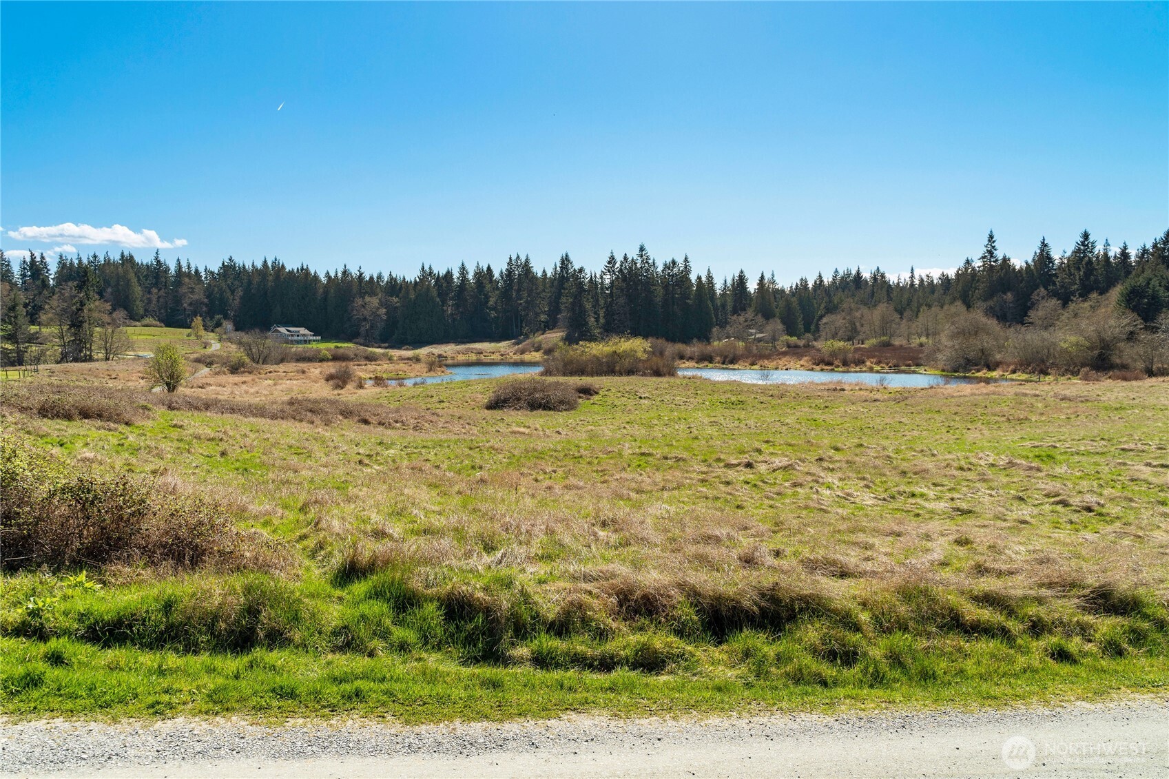 MLS #NWM2500961 image #16