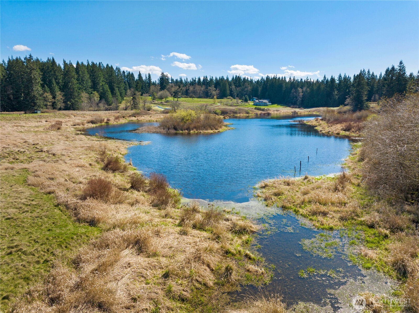 MLS #NWM2500961 image #4