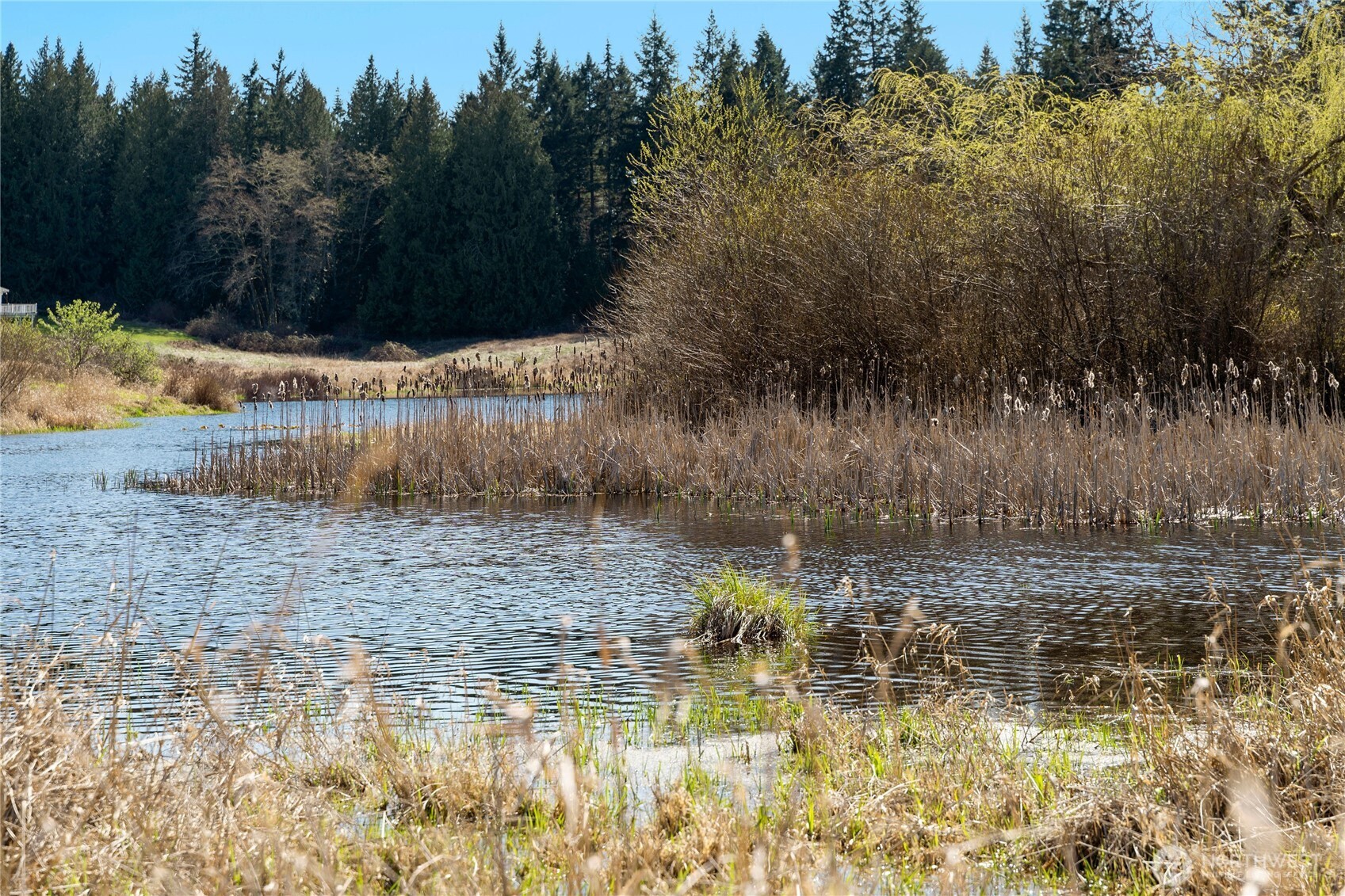 MLS #NWM2500961 image #19