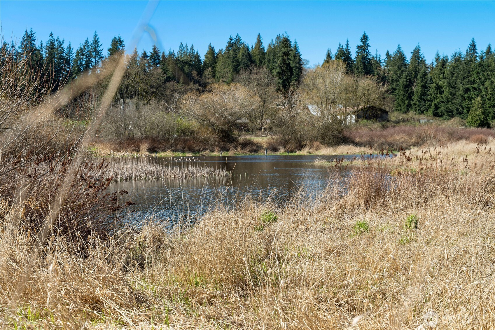 MLS #NWM2500961 image #21