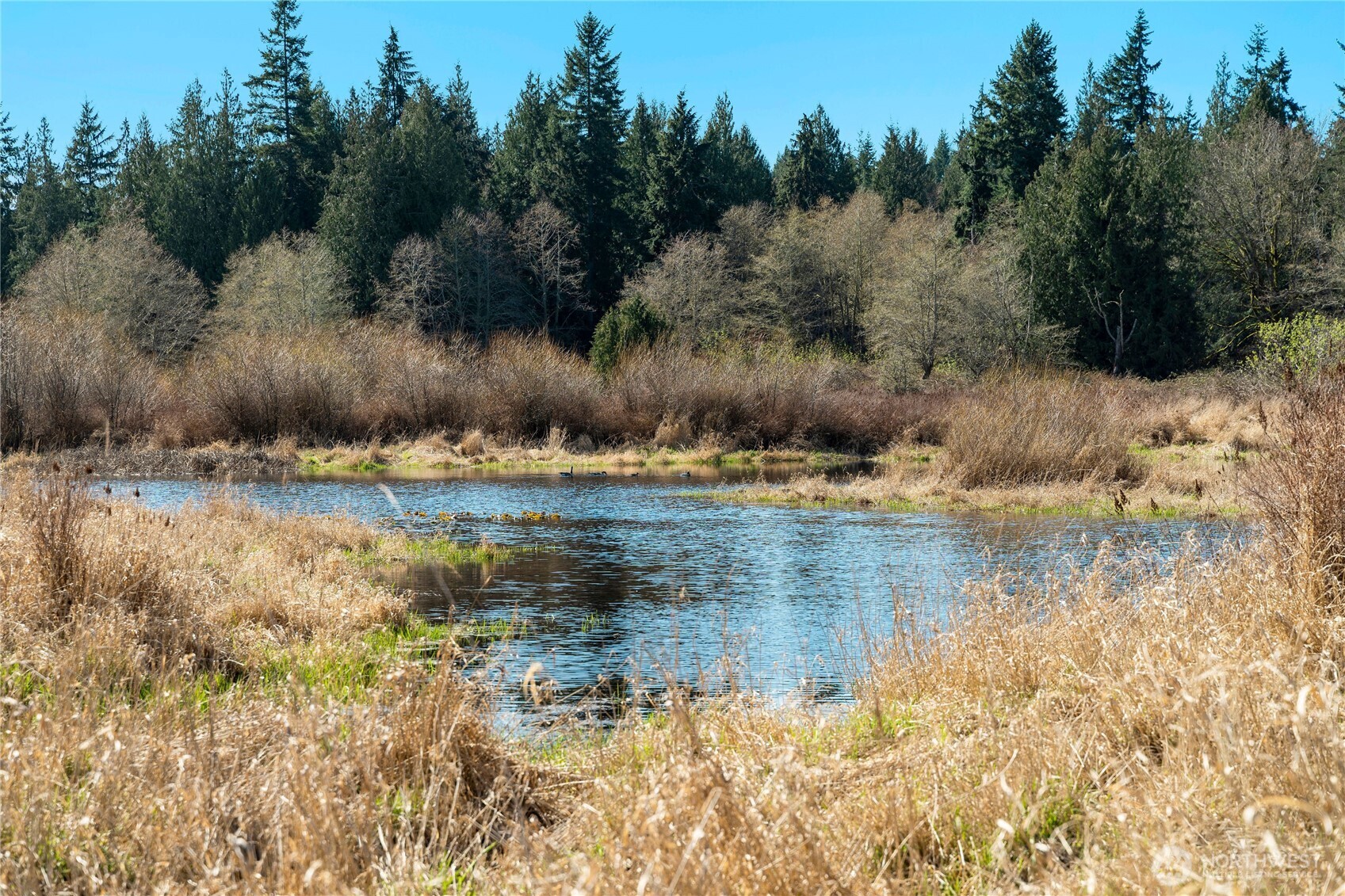 MLS #NWM2500961 image #20