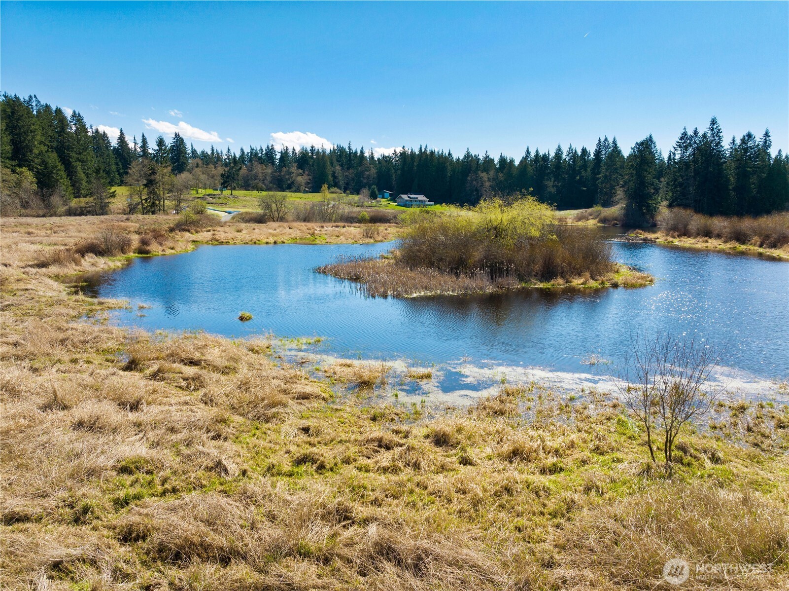 MLS #NWM2500961 image #8