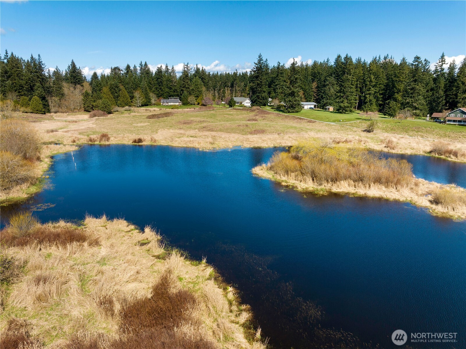 MLS #NWM2500961 image #5