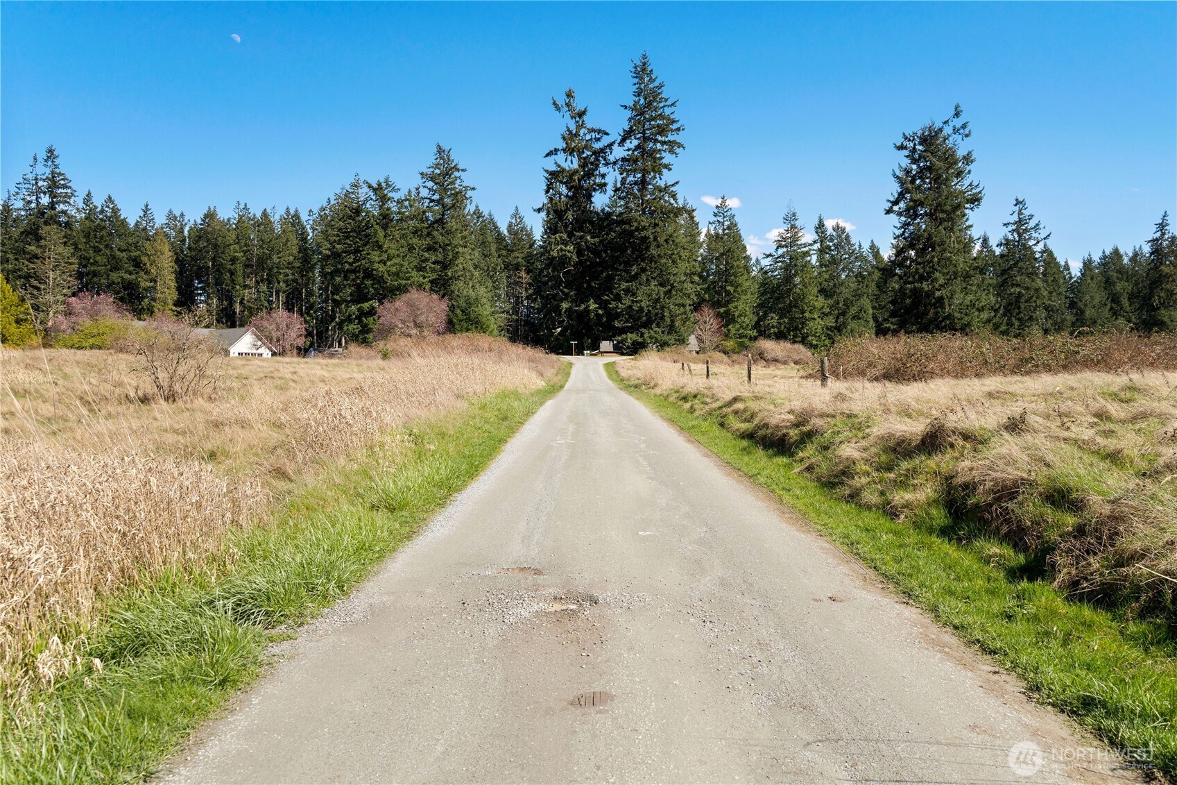 MLS #NWM2500961 image #14