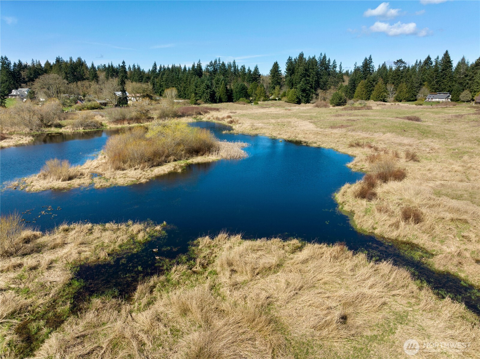 MLS #NWM2500961 image #6