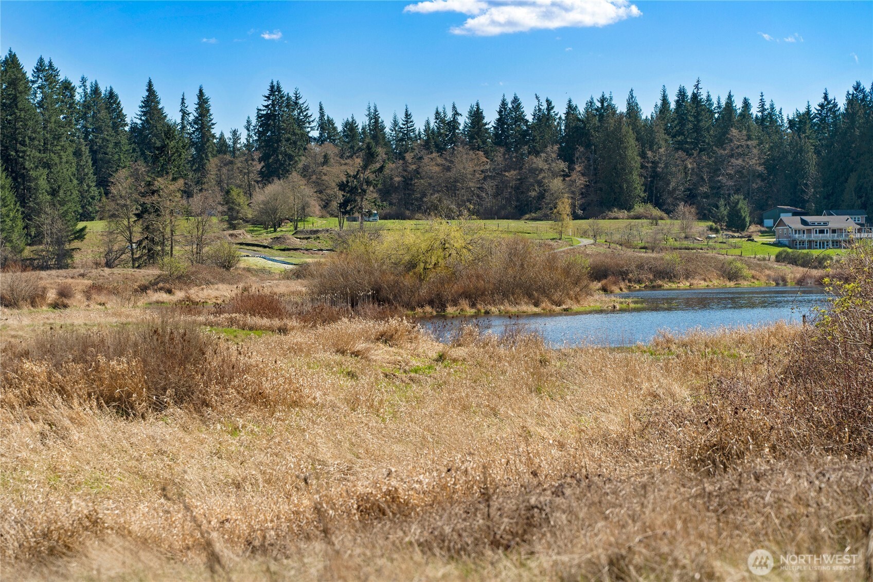 MLS #NWM2500961 image #12