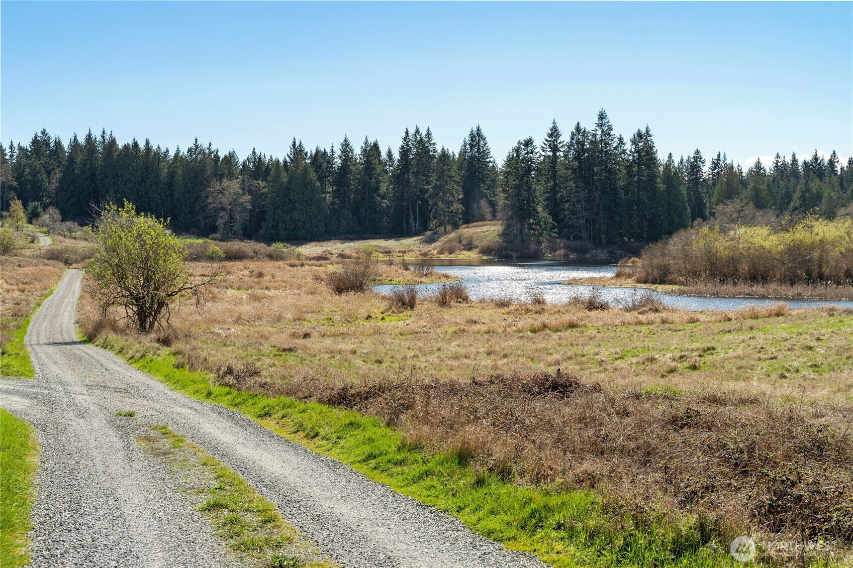 MLS #NWM2500961 image #17