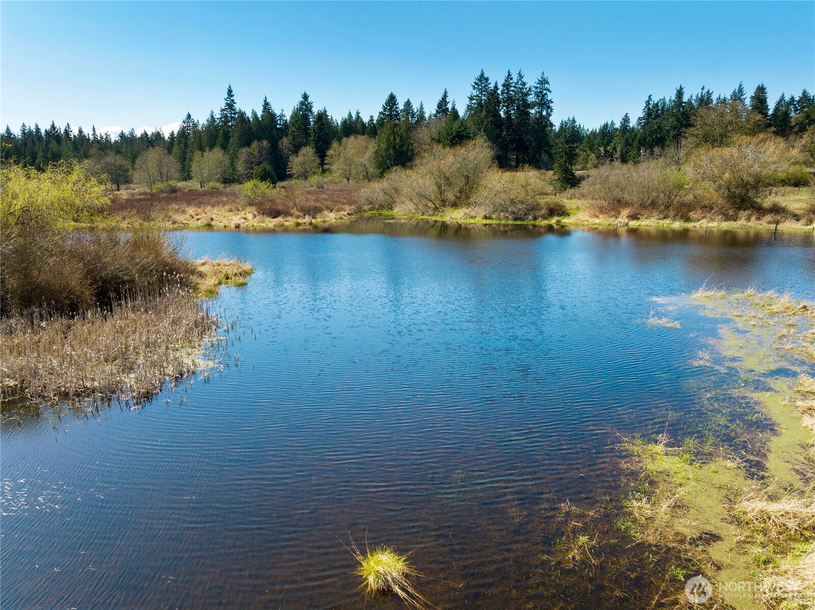 MLS #NWM2500961 image #7