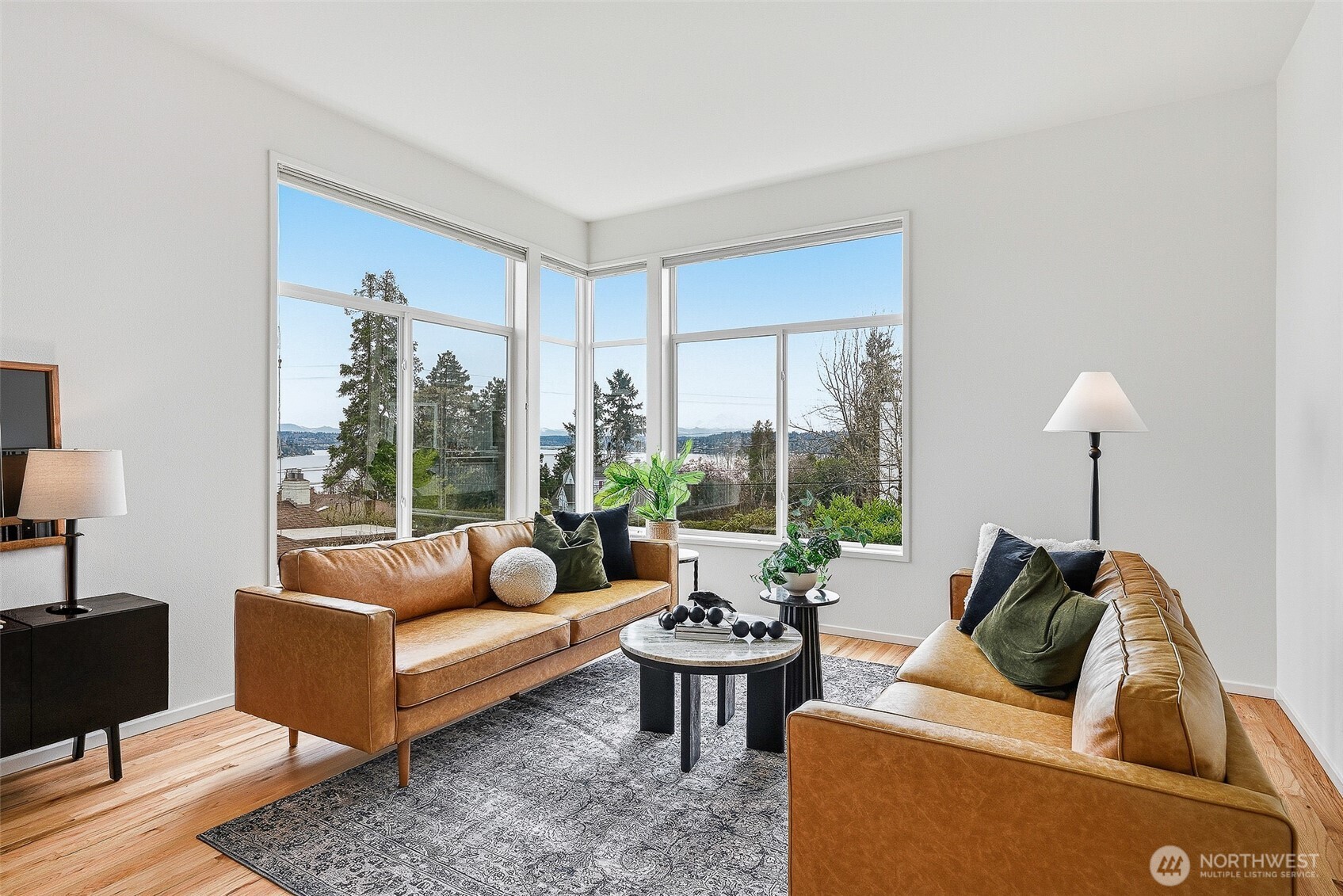 MLS #NWM2500987 image #2