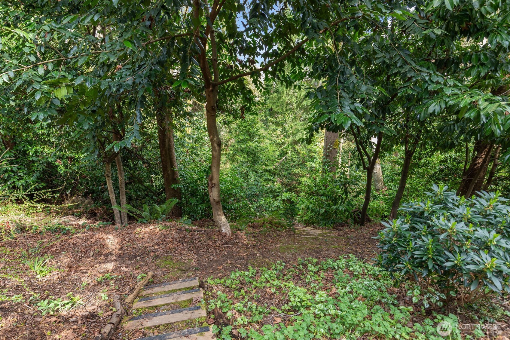 MLS #NWM2501050 image #37