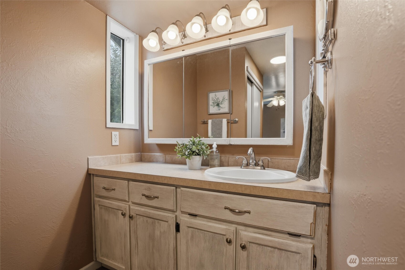 MLS #NWM2501059 image #28