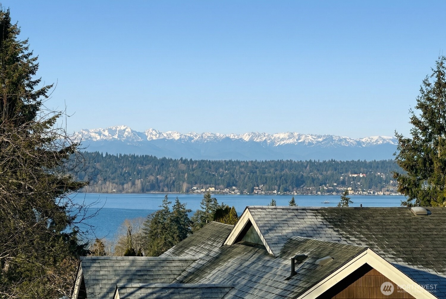 MLS #NWM2501066 image #36