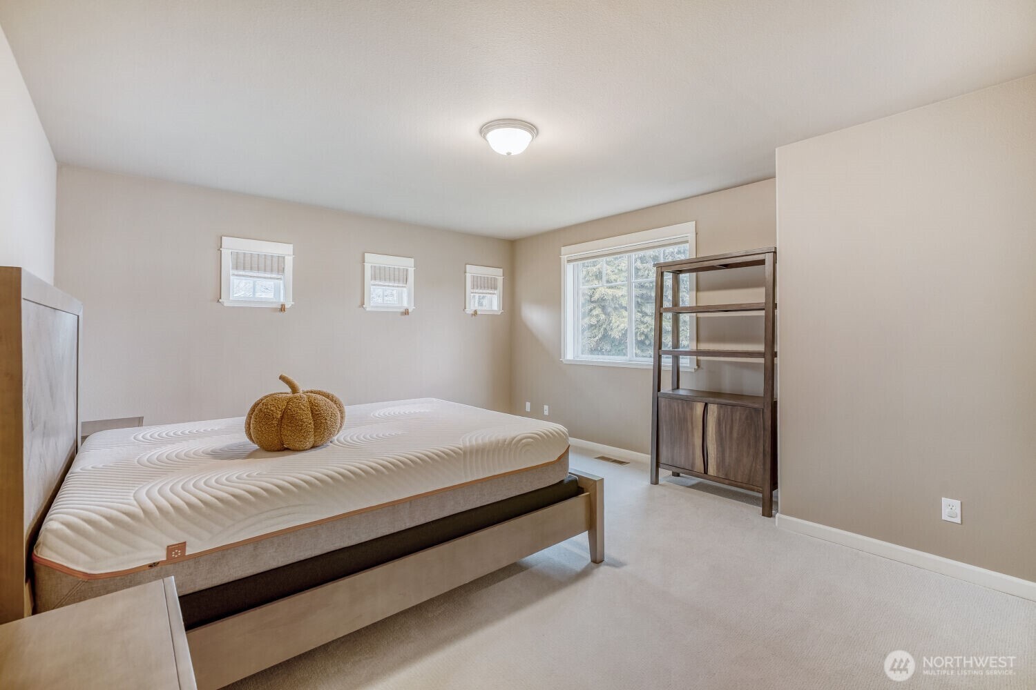 MLS #NWM2501066 image #24