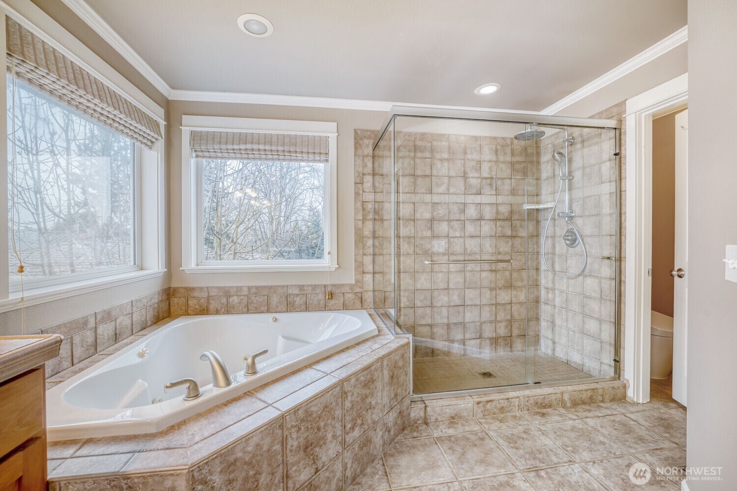 MLS #NWM2501066 image #27