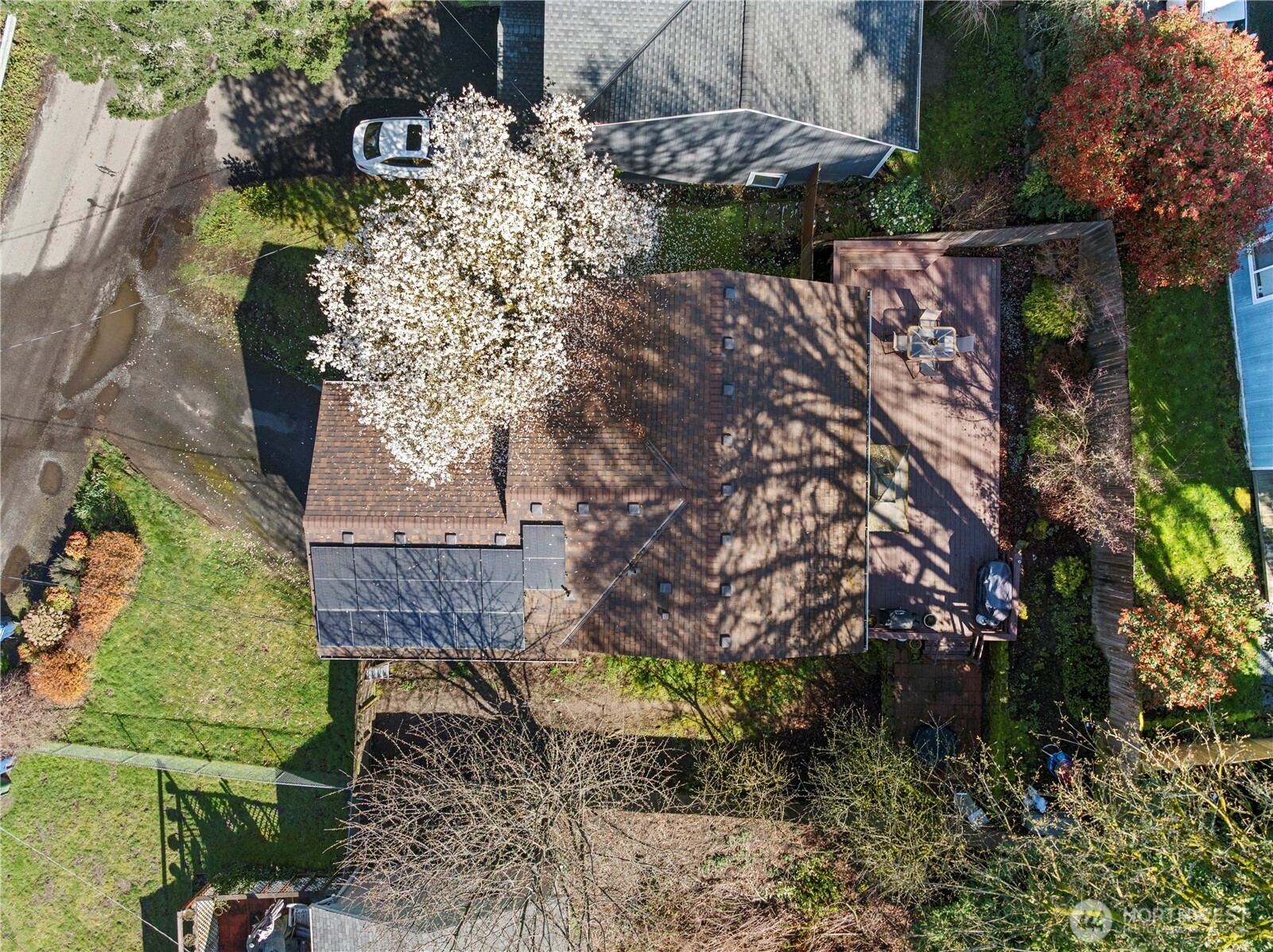 MLS #NWM2501138 image #22