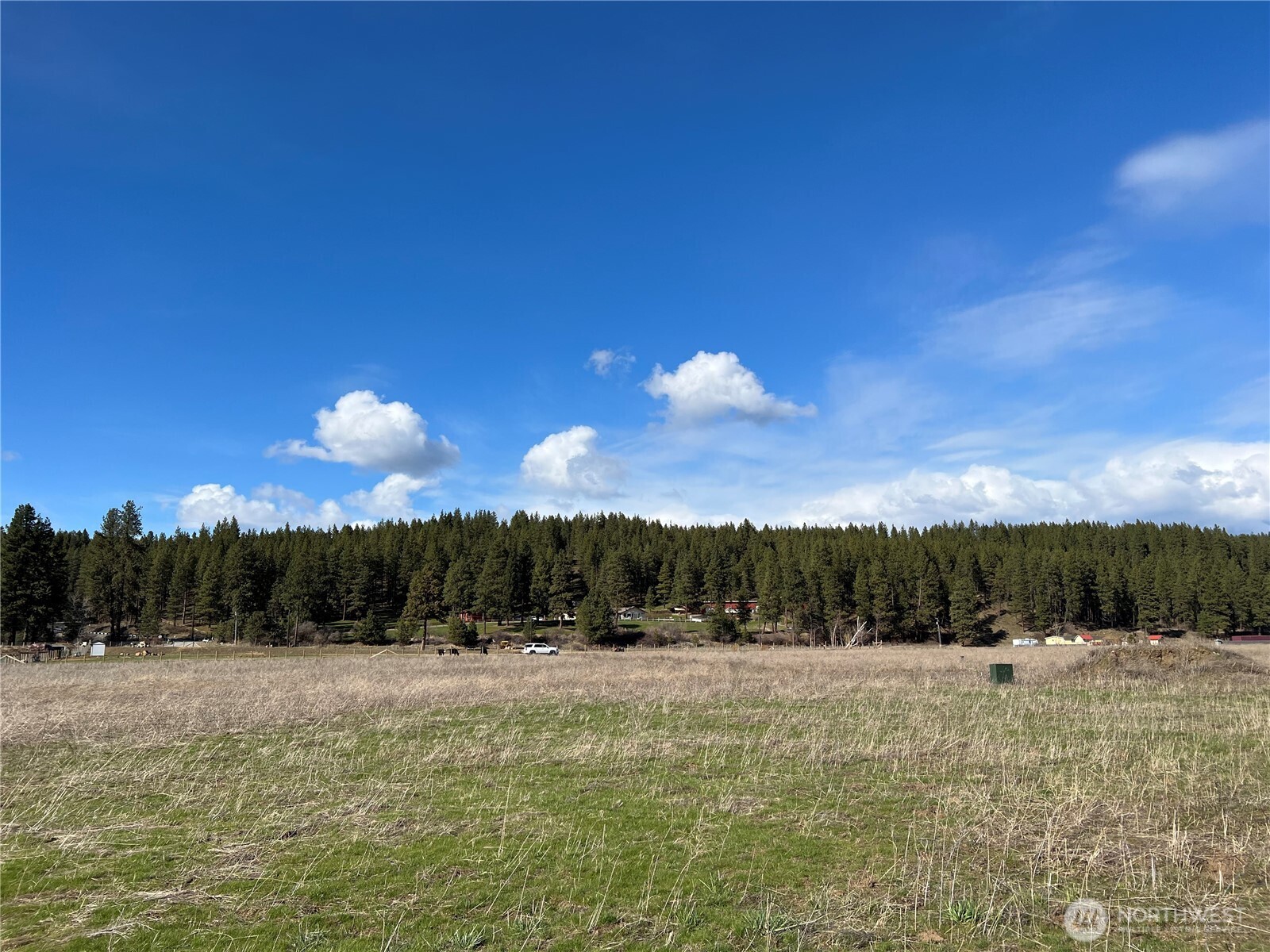 MLS #NWM2501200 image #0