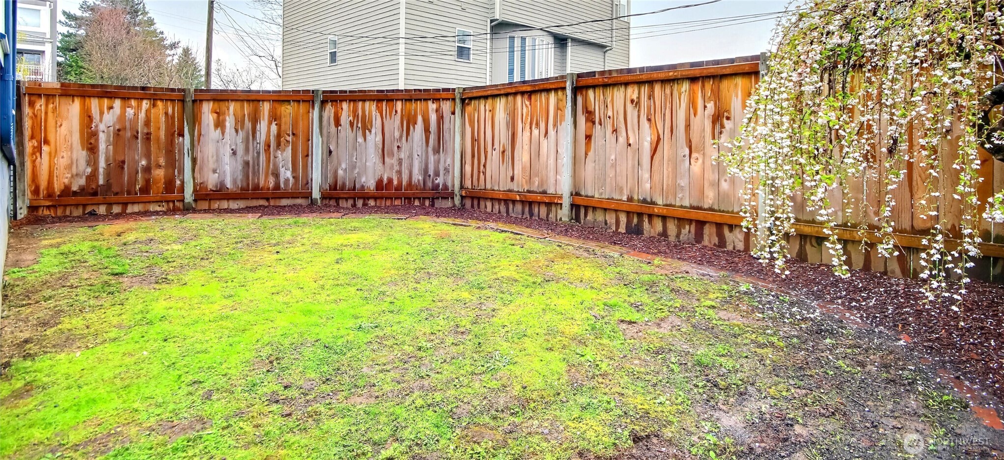 MLS #NWM2501217 image #6