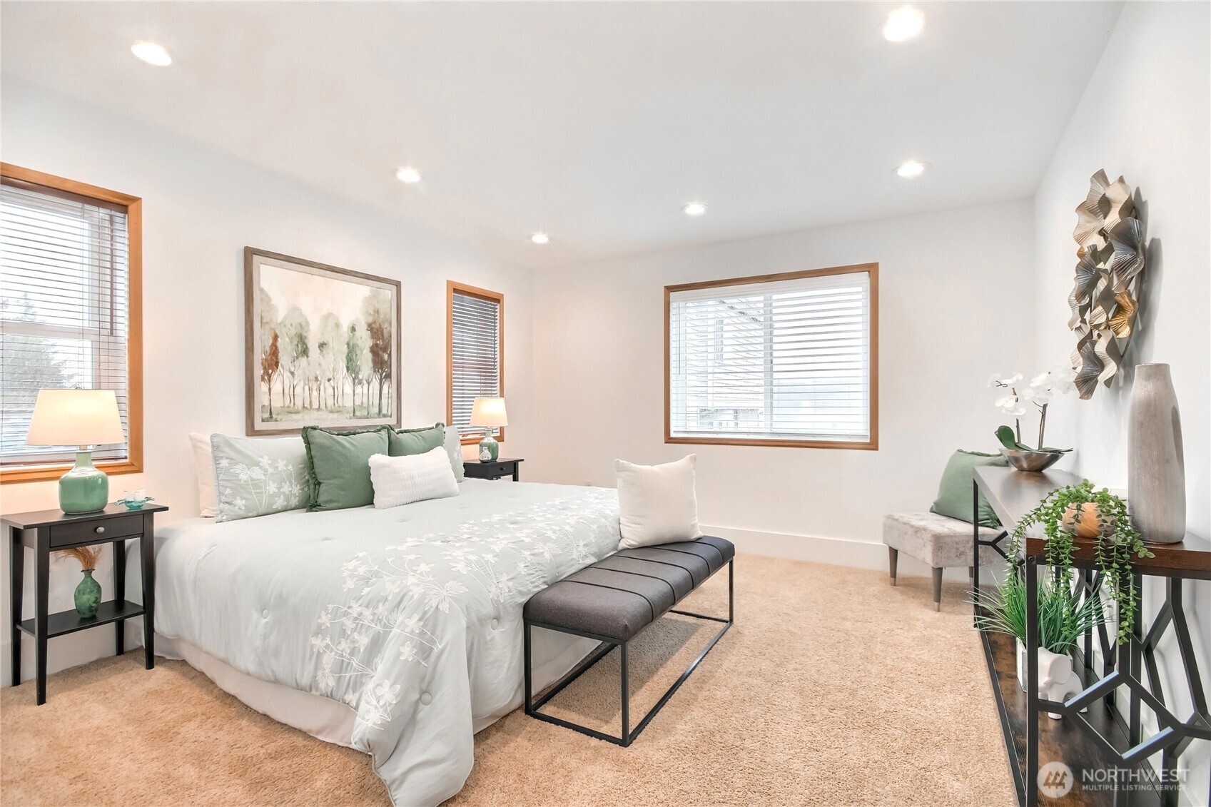 MLS #NWM2501217 image #12