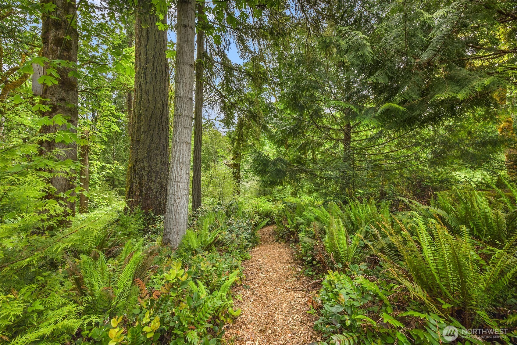 MLS #NWM2501311 image #33