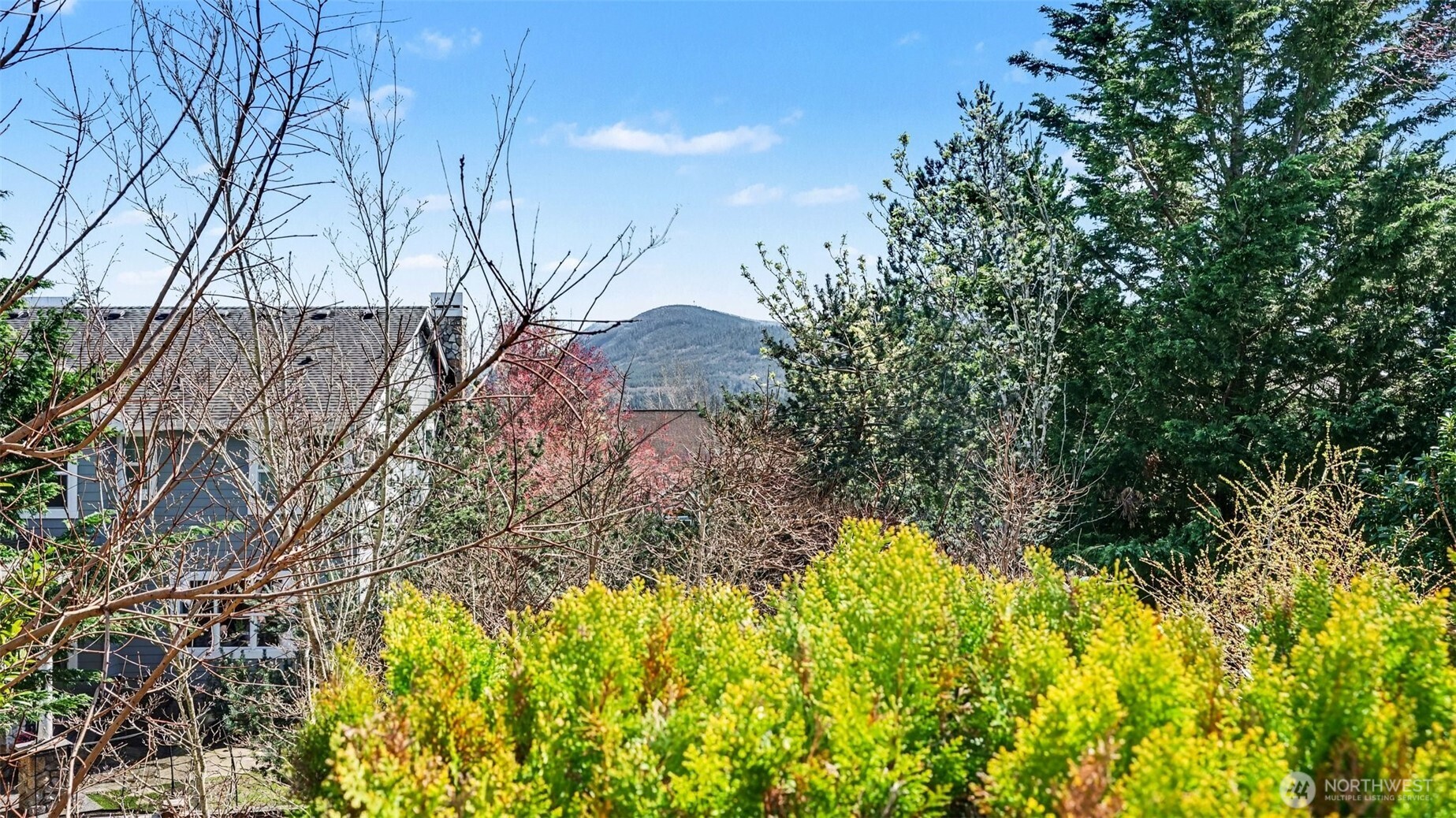 MLS #NWM2501348 image #6