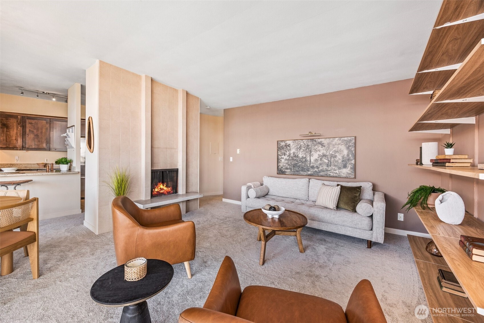 MLS #NWM2501431 image #11
