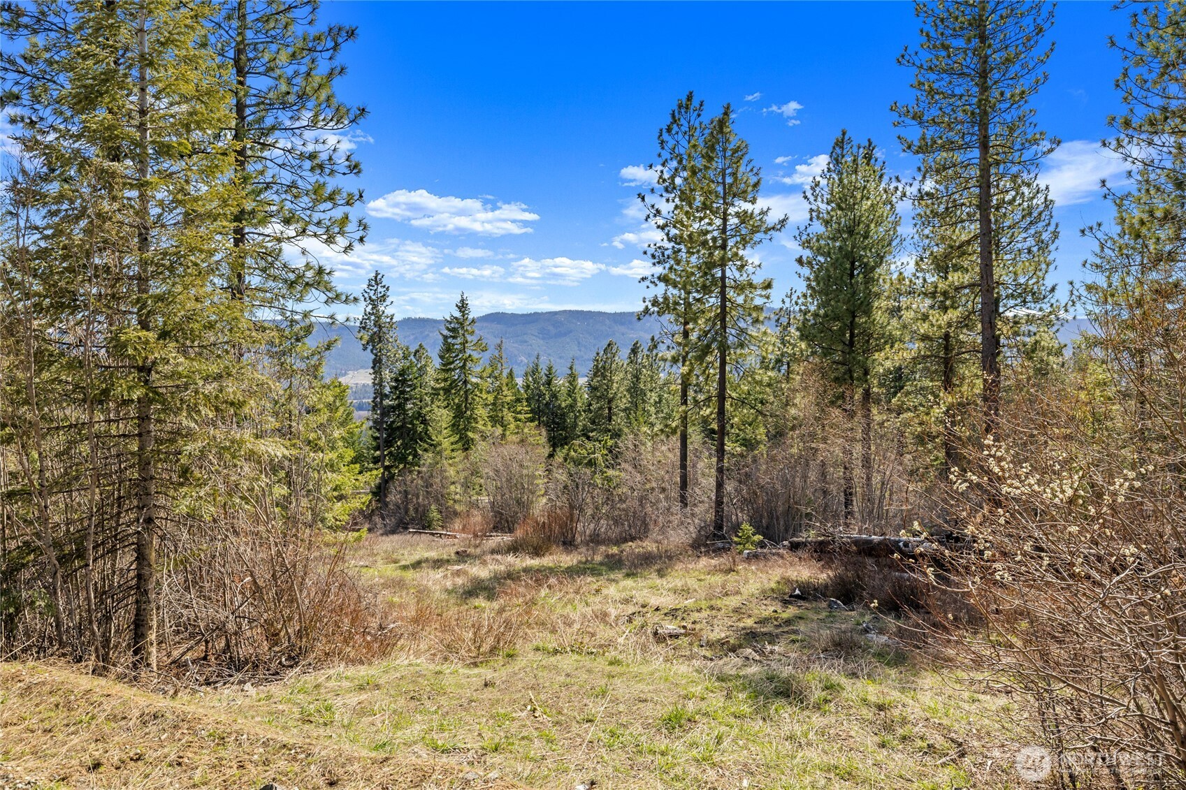 MLS #NWM2501472 image #0