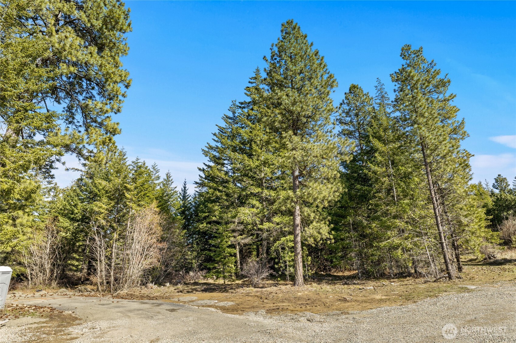 MLS #NWM2501473 image #0