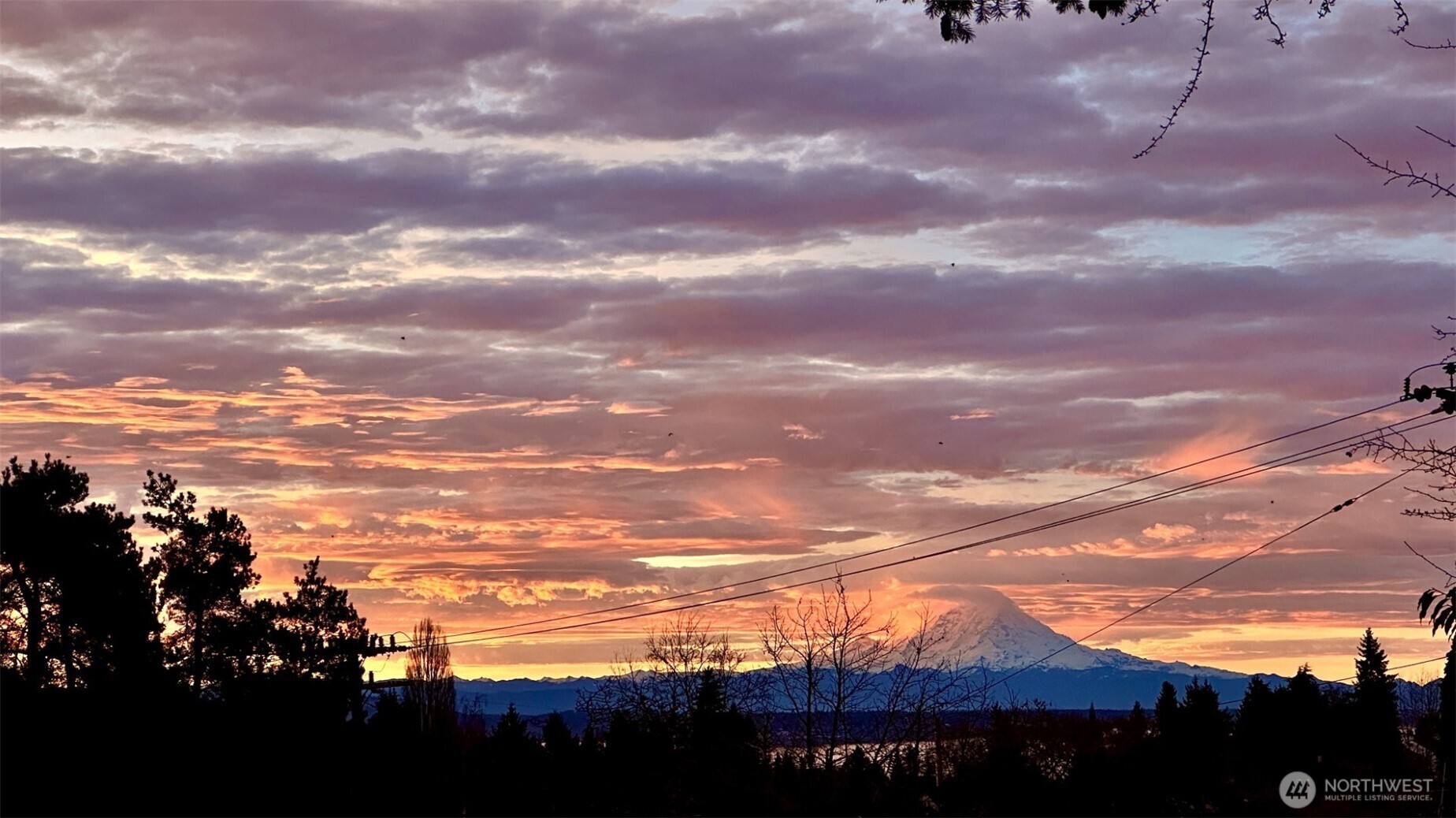 MLS #NWM2501482 image #33